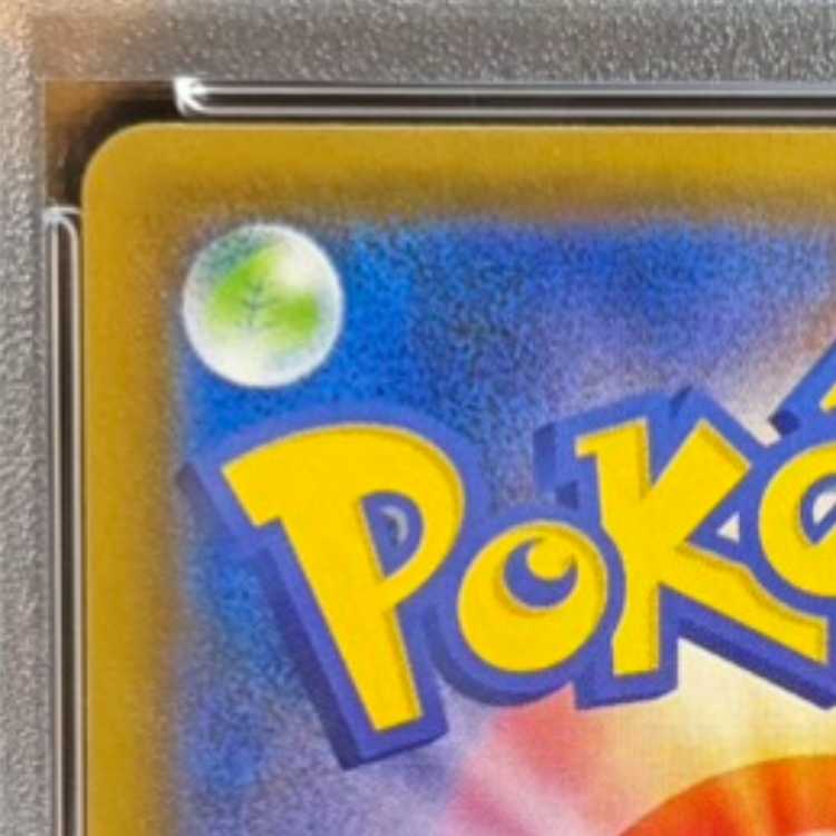 [PSA10] Rayquaza V SR 076/067 1枚