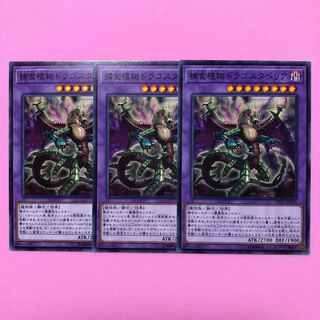 遊戯王 捕食植物ドラゴスタペリア 3枚 ノーマル