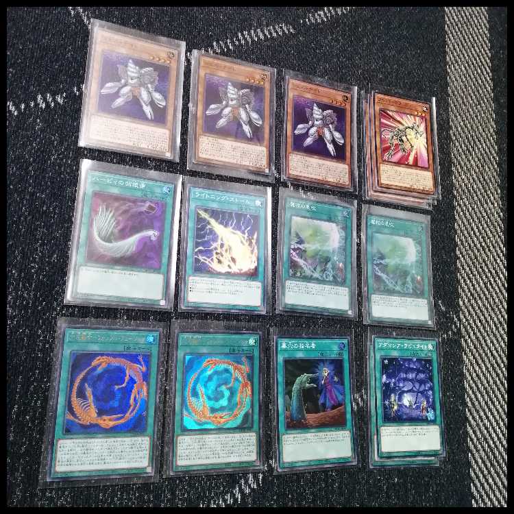 遊戯王　デッキ　化石　アダマシア　魔救の探索者　[05055] 1枚