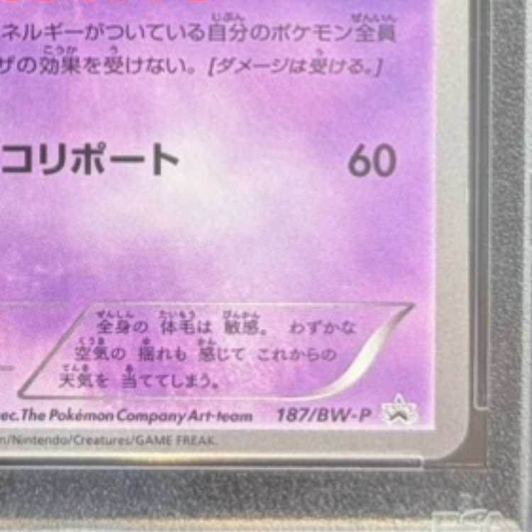 【PSA10】エーフィ コレクションファイル イーブイコレクション PROMO 187/BW-P 1枚
