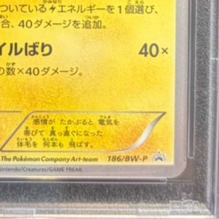 【PSA10】サンダース コレクションファイル イーブイコレクション PROMO 186/BW-P 1枚