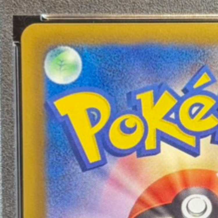 【PSA10】サンダース コレクションファイル イーブイコレクション PROMO 186/BW-P 1枚