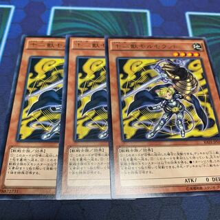 十二獣モルモラット R