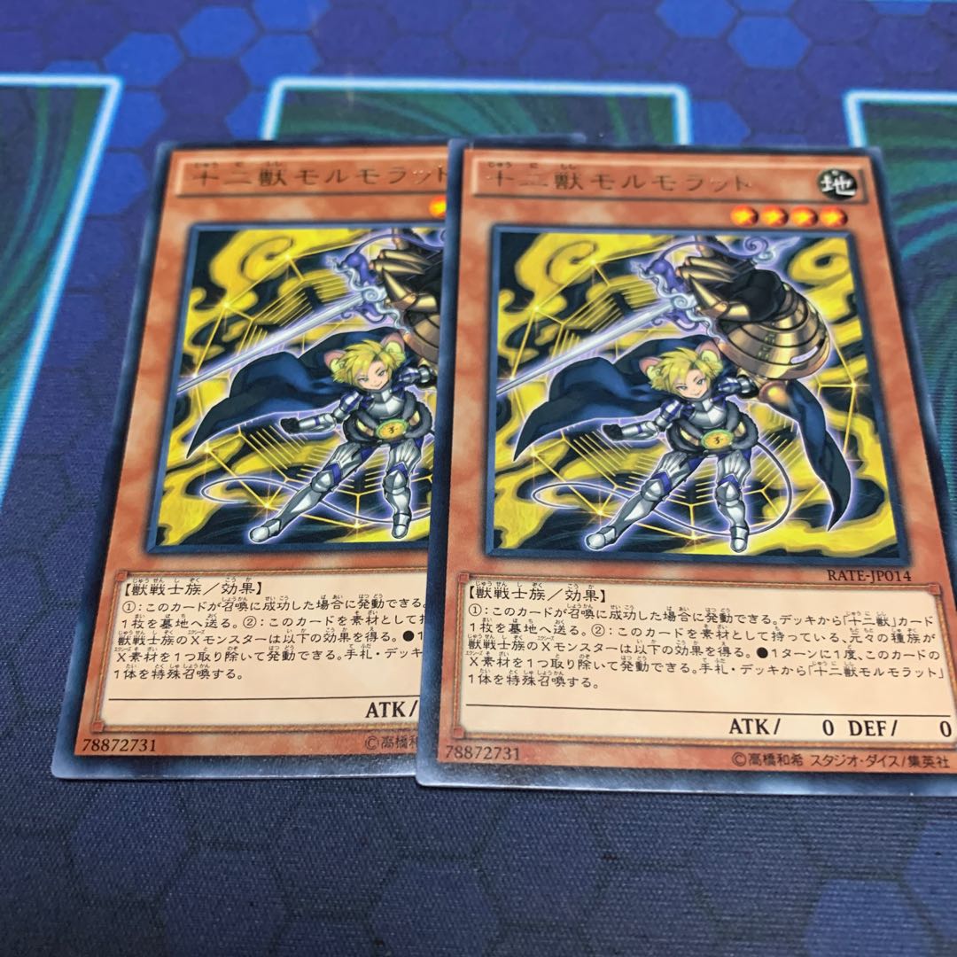 十二獣モルモラット R