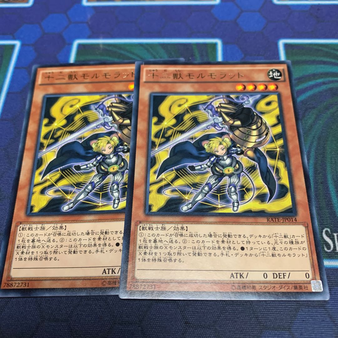 十二獣モルモラット R