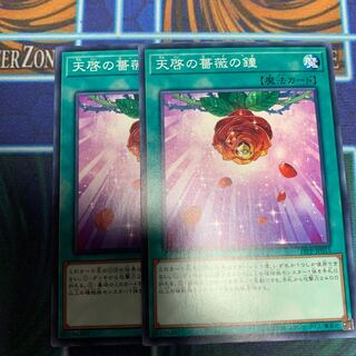 天啓の薔薇の鐘 N