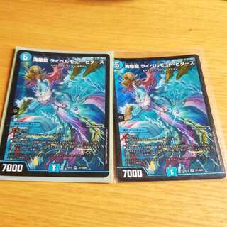 海姫龍 ライベルモット・ビターズ SR