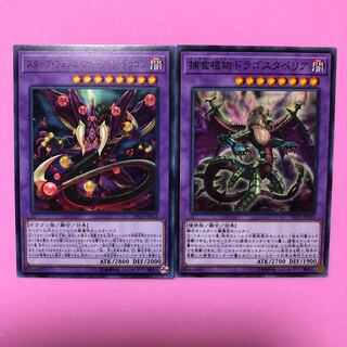 遊戯王 スターヴ・ヴェノム・フュージョン・ドラゴン／ドラゴスタペリア／各1枚