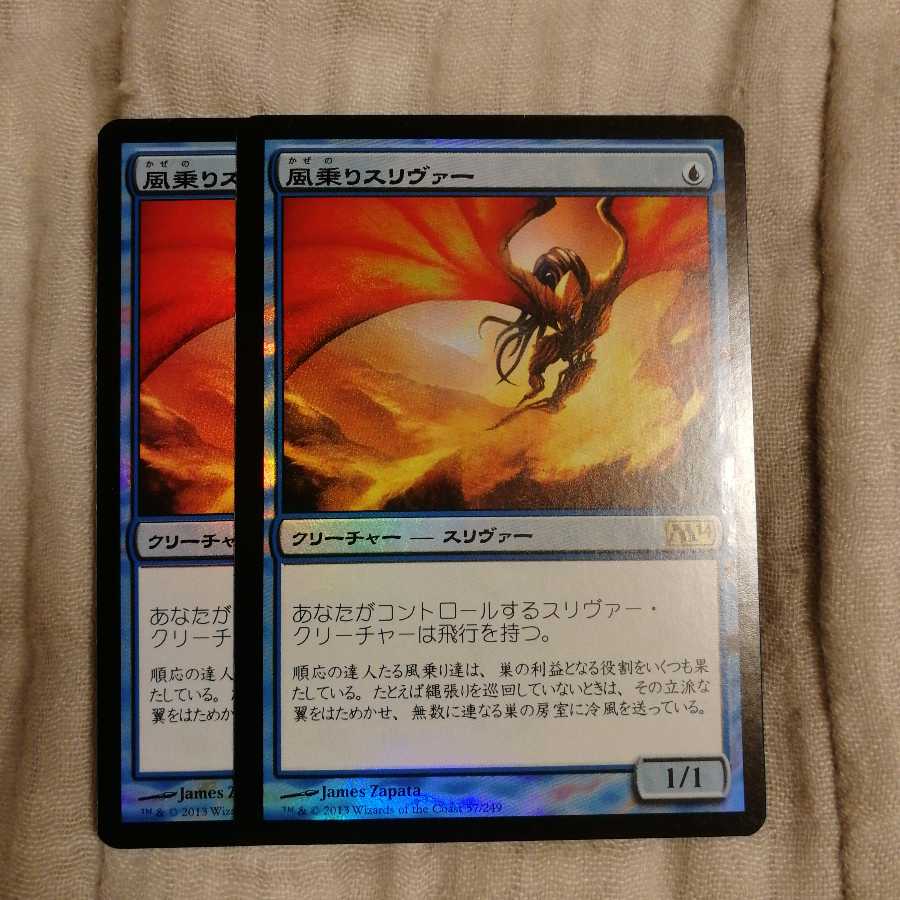 風乗りスリヴァー　２枚