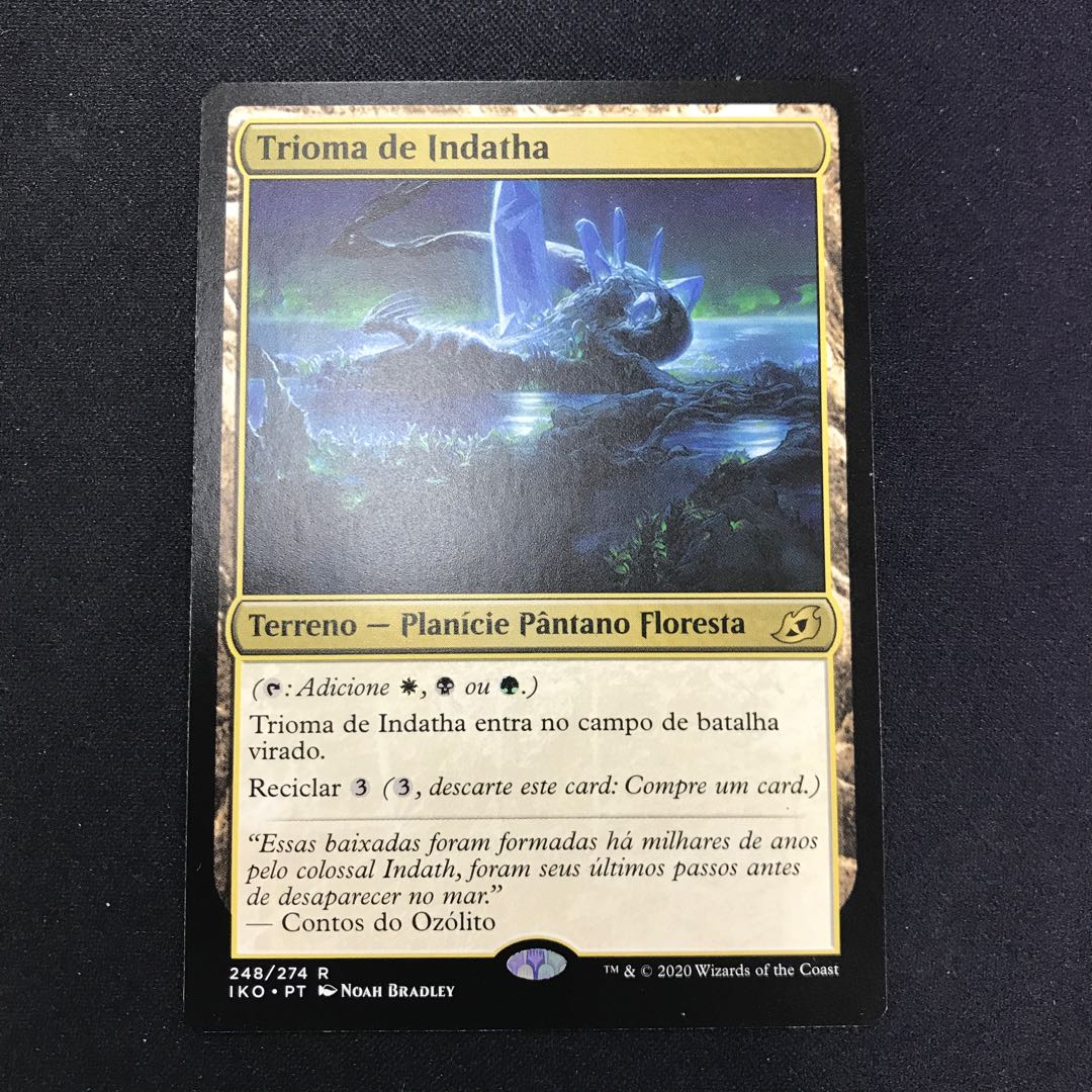 インダサのトライオーム 他言語版