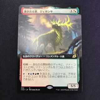 湧き出る源、ジェガンサ 拡張アート