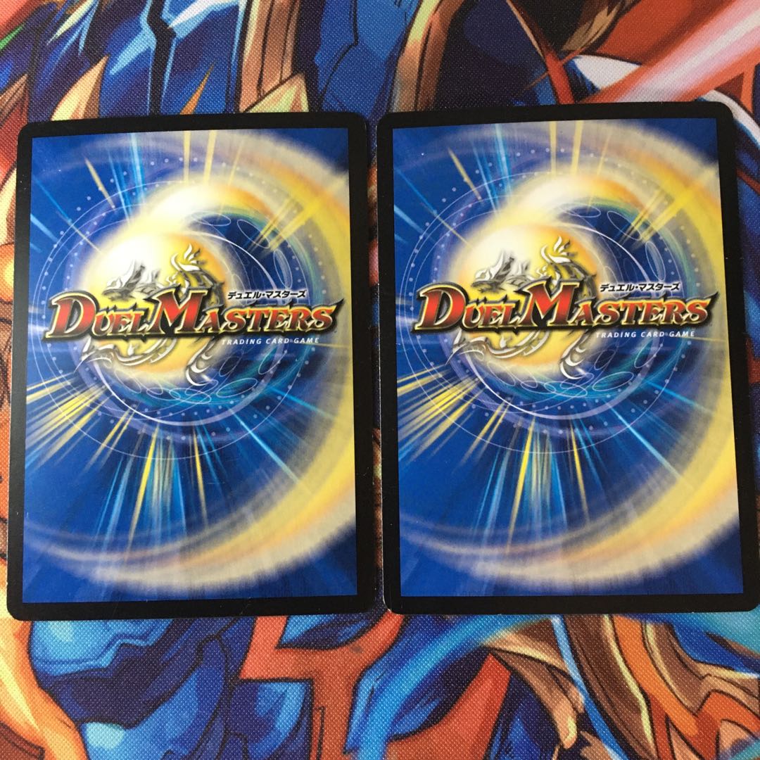 「絶対の楯騎士」　2枚