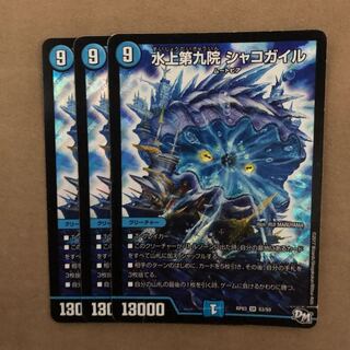 シャコガイル 3枚