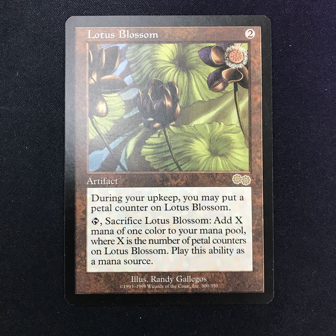 水蓮の花 英語版