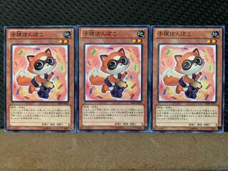 【ぽぽたん】遊戯王 9856 子狸ぽんぽこ 3枚 ノーマル