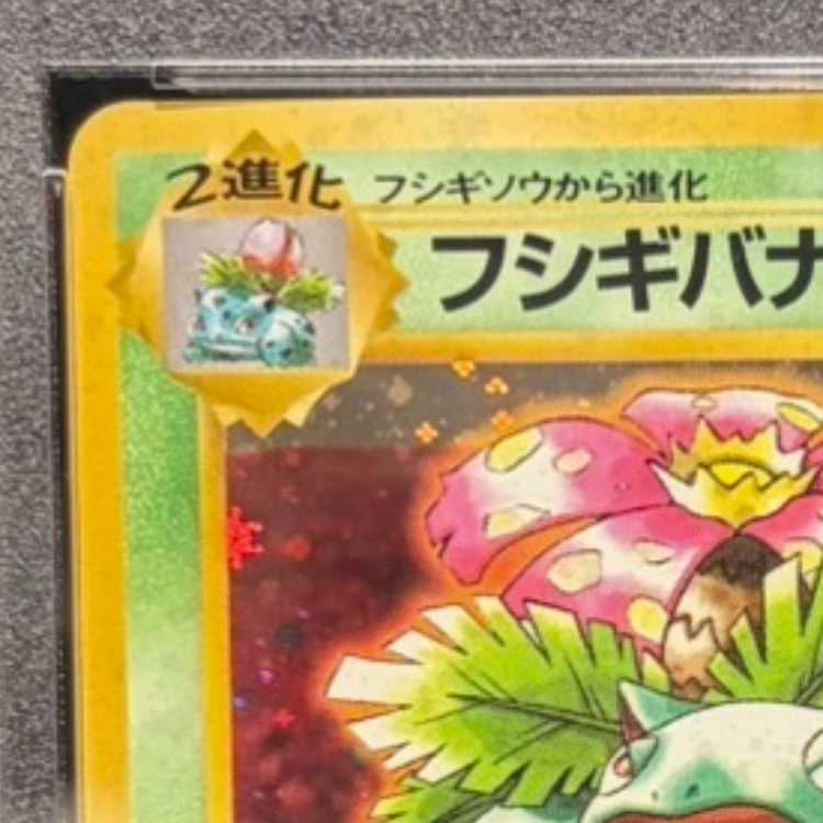 【PSA10】 フシギバナ 《「とりかえっこプリーズ」キャンペーンカード》 (プロモ) [旧裏] 1枚