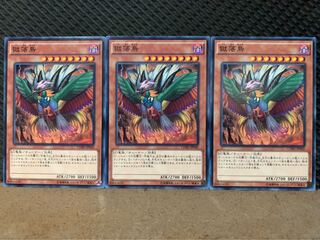 Popotan] Yu-Gi-Oh! 9851 Bird of Paradise Lost 3 Normal