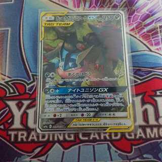 Greninja&Zoroarkgx sr