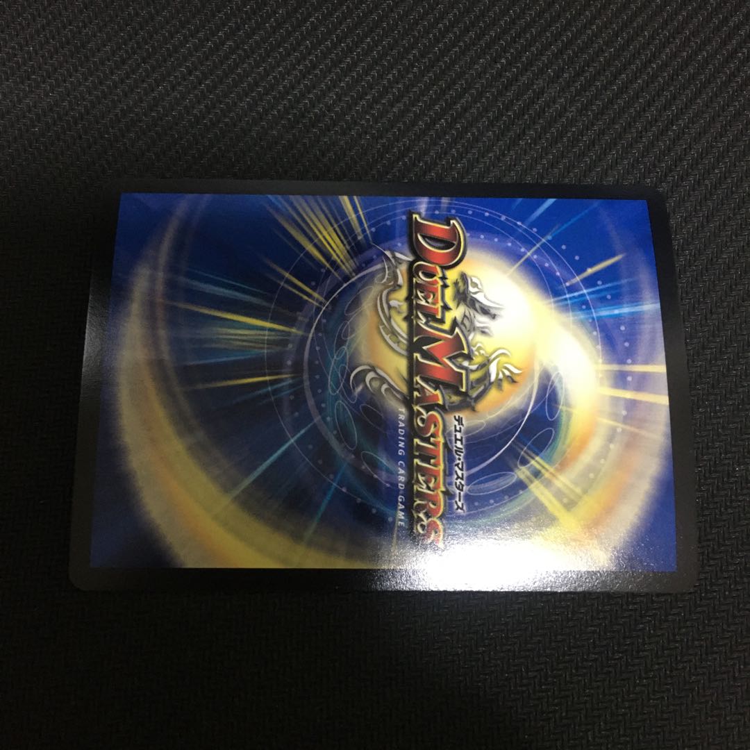 クドヤ様専用「新品未使用」龍世界-龍の降臨する地-