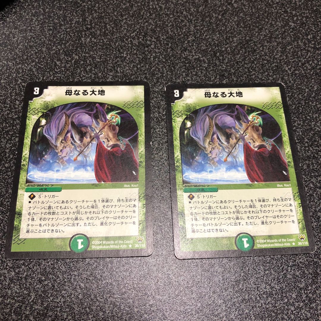 母なる大地 R 2枚セット