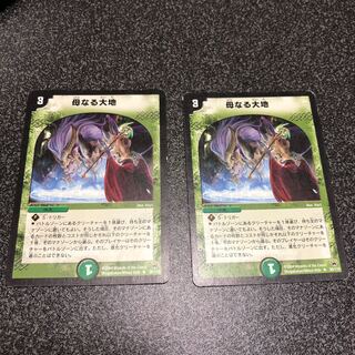 母なる大地 R 2枚セット