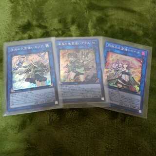 清冽の水霊使いエリア SR