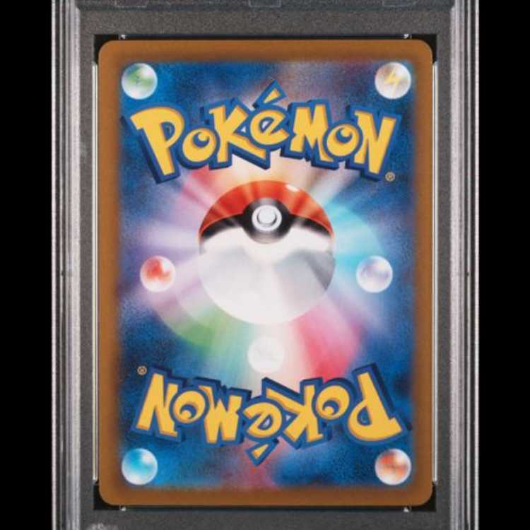 【PSA10】 ナタネの活気 (SAR) {243/172} [S12a/VSTARユニバース] [SS] 1枚