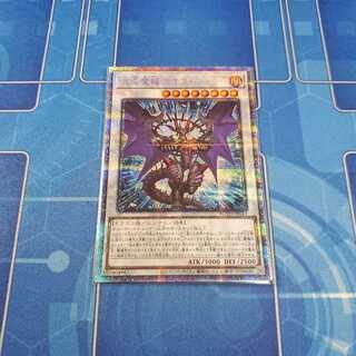 混沌魔龍カオス・ルーラー プリシク