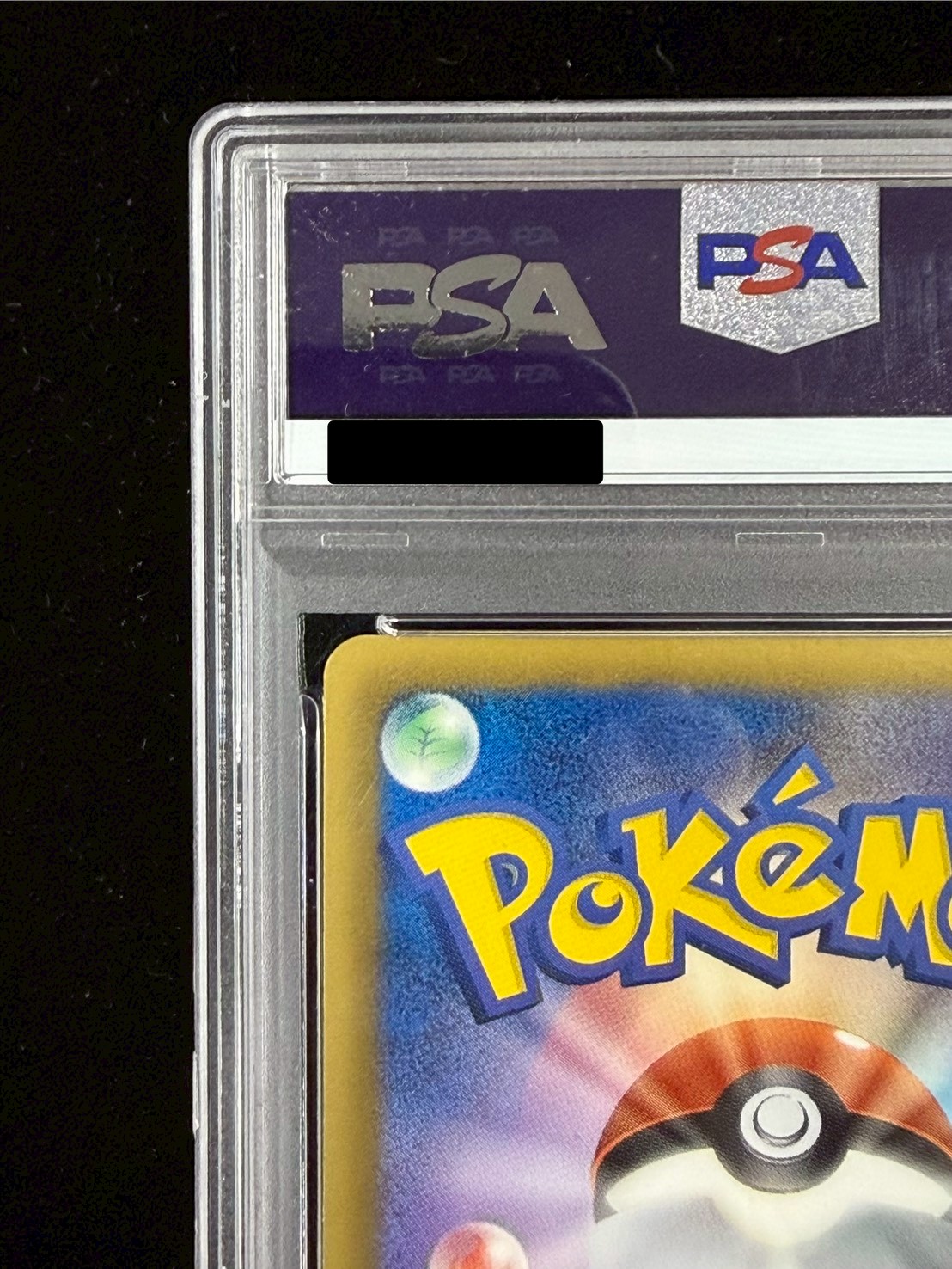 〔PSA10鑑定済〕ピカチュウ【P】{229/BW-P} 1枚