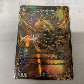 ニコルボーラス