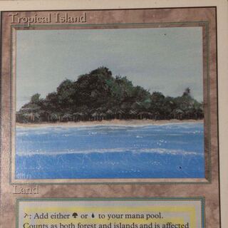 Tropical Island 海外版 リバイズド