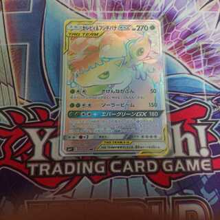 セレビィ&フシギバナgx hr