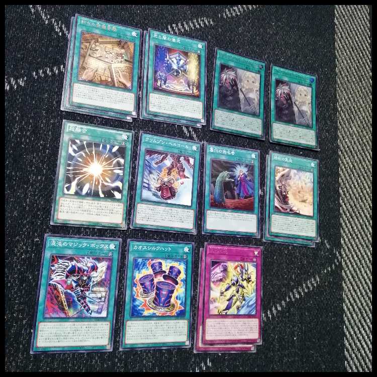 遊戯王　デッキ　烙印　光と闇の儀式　白き竜の落胤　[05070] 1枚