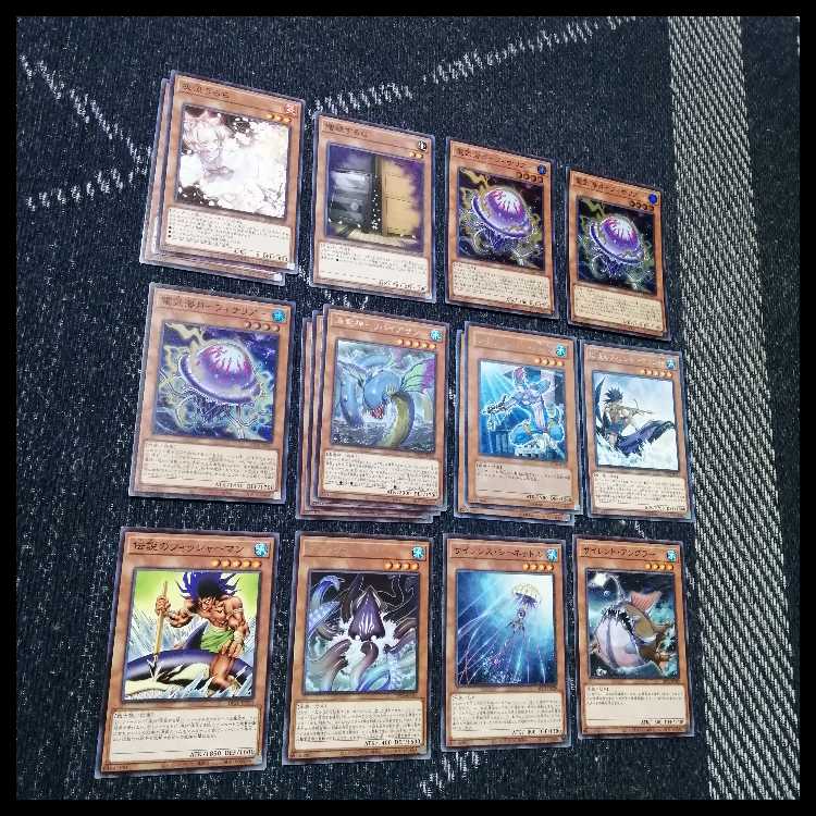 遊戯王　デッキ　クラゲ　フィッシャーマン　海　リヴァイアサン　[05064] 1枚