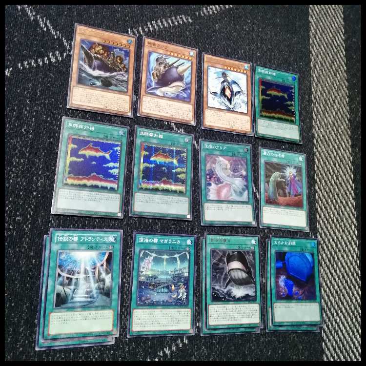 遊戯王　デッキ　クラゲ　フィッシャーマン　海　リヴァイアサン　[05064] 1枚
