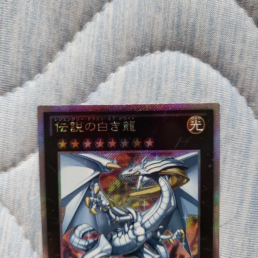 伝説の白き龍 ES ①