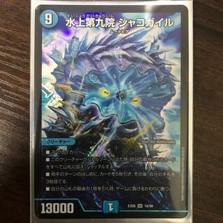 シャコガイル　イグゾースト