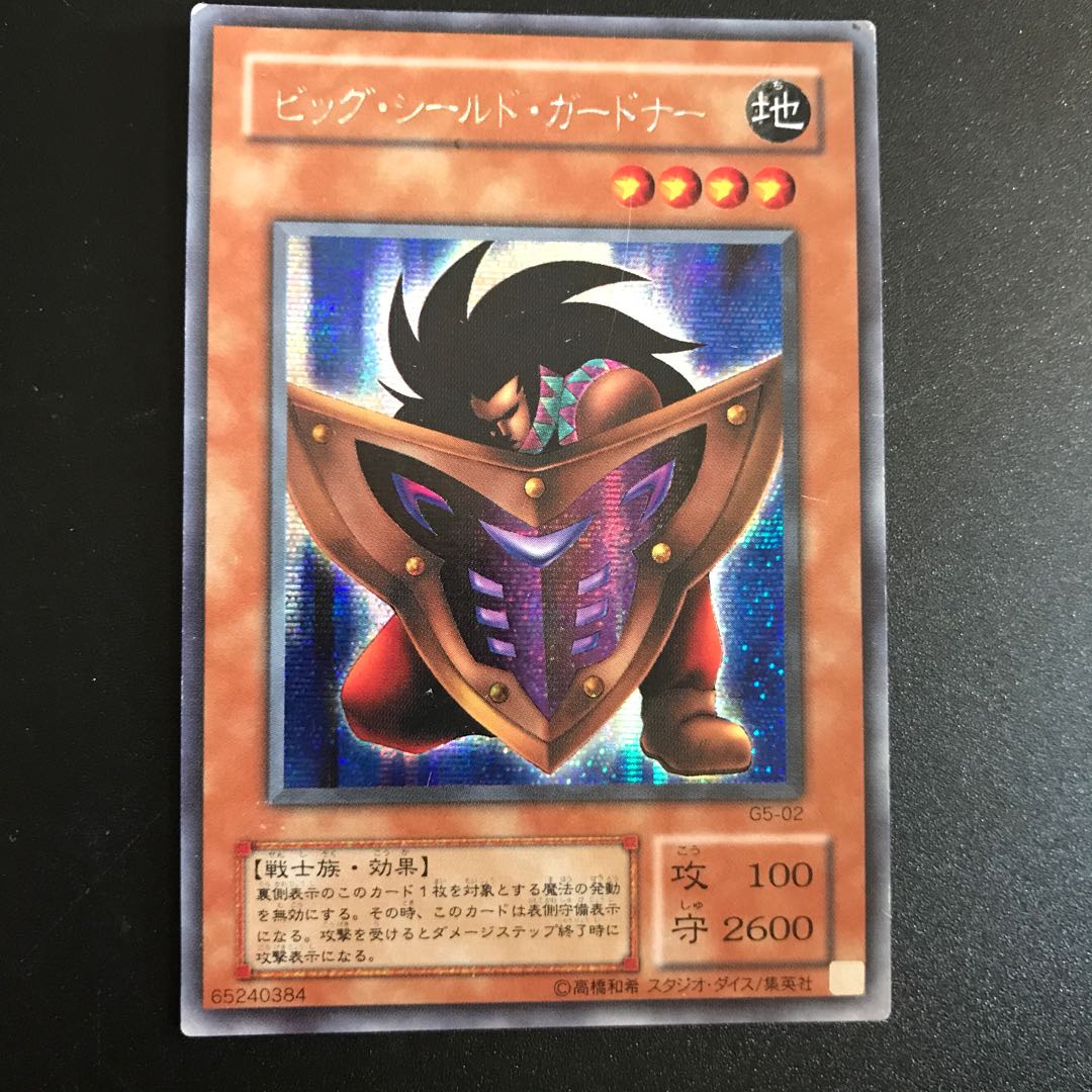 Big Shield Gardna SE