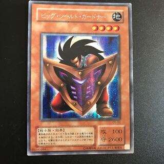 Big Shield Gardna SE