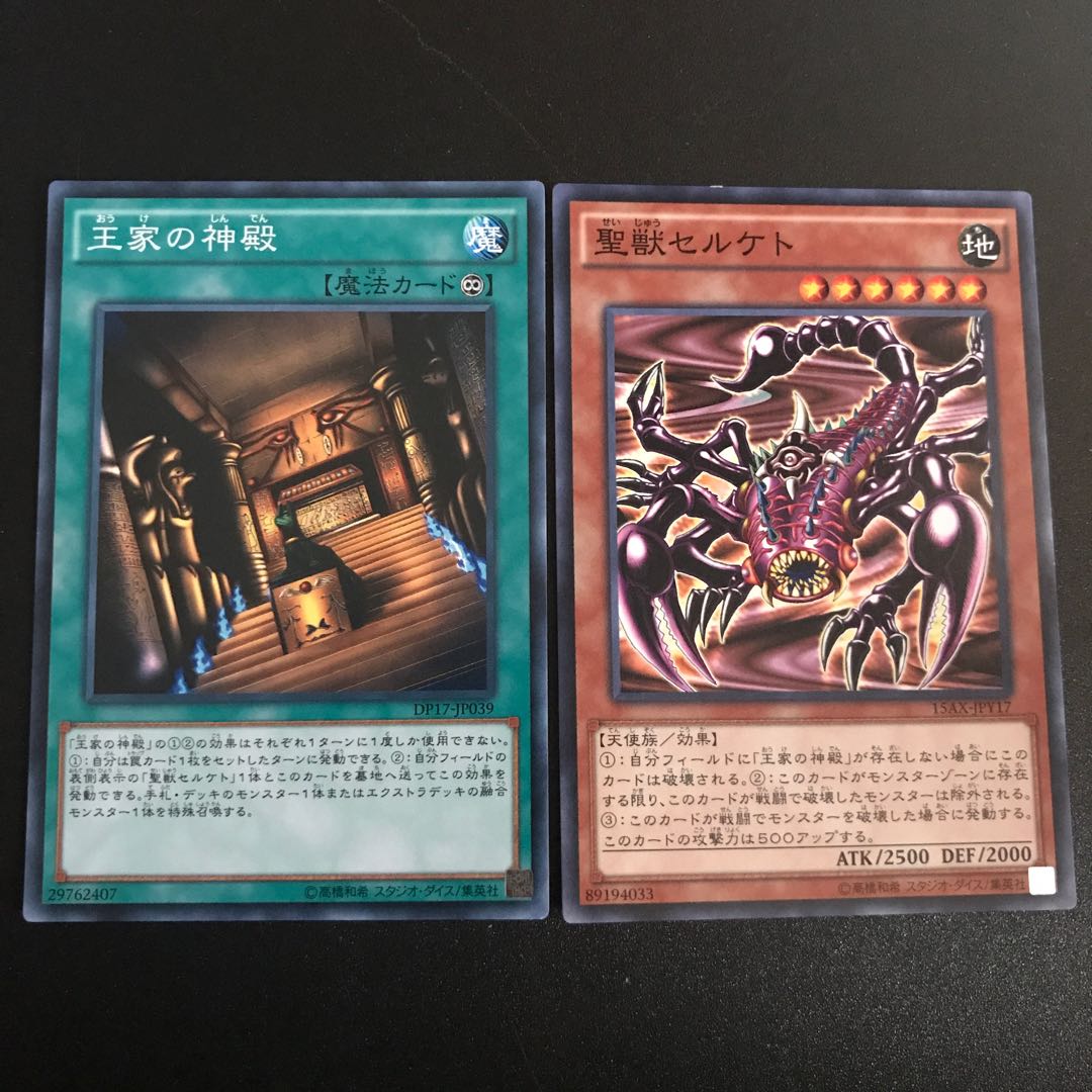 聖獣セルケト N