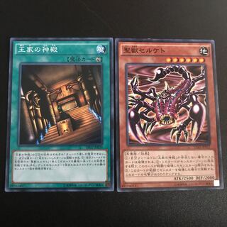 聖獣セルケト N