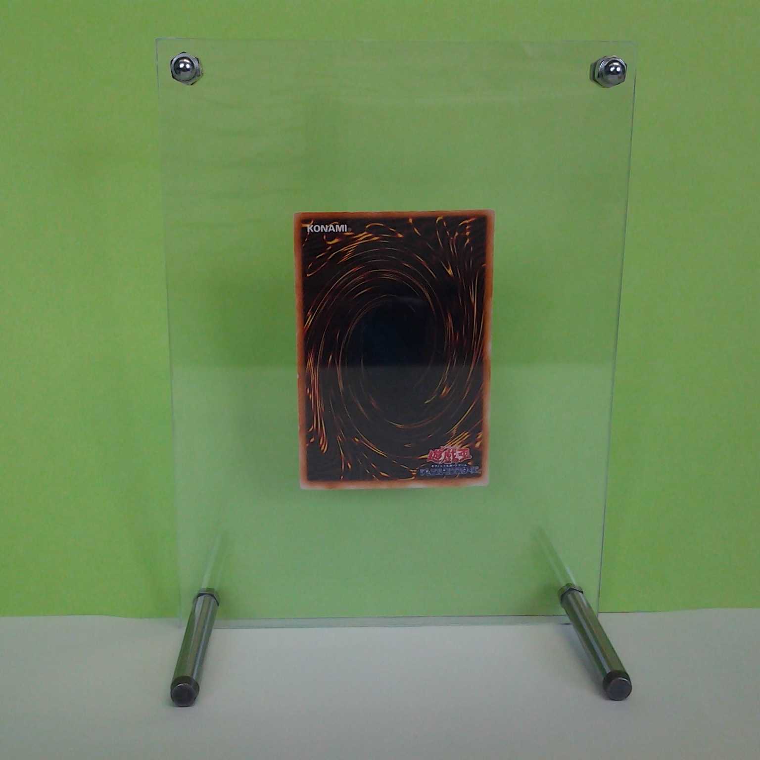 Serpent Night Dragon with case for treasures