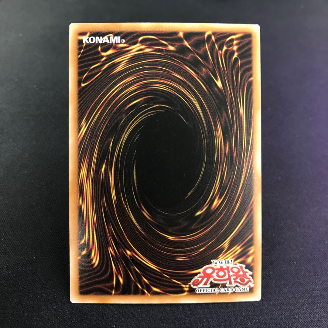 励輝士 ヴェルズビュート 韓国語版 シク シークレット