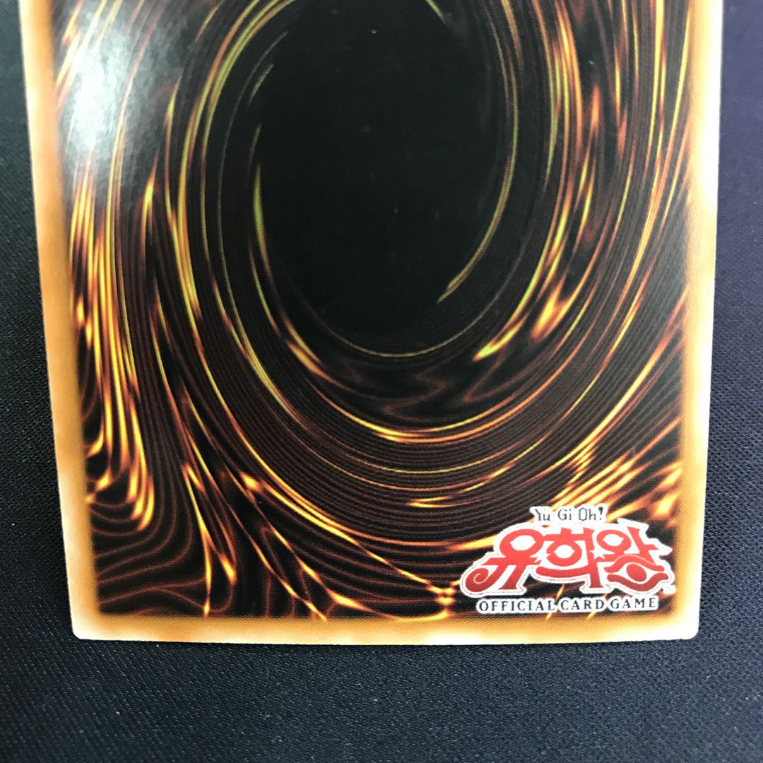 励輝士 ヴェルズビュート 韓国語版 シク シークレット