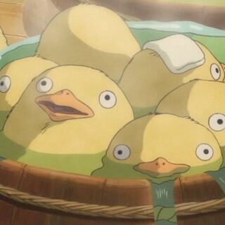 アレキ様専用 サインカード3枚セット