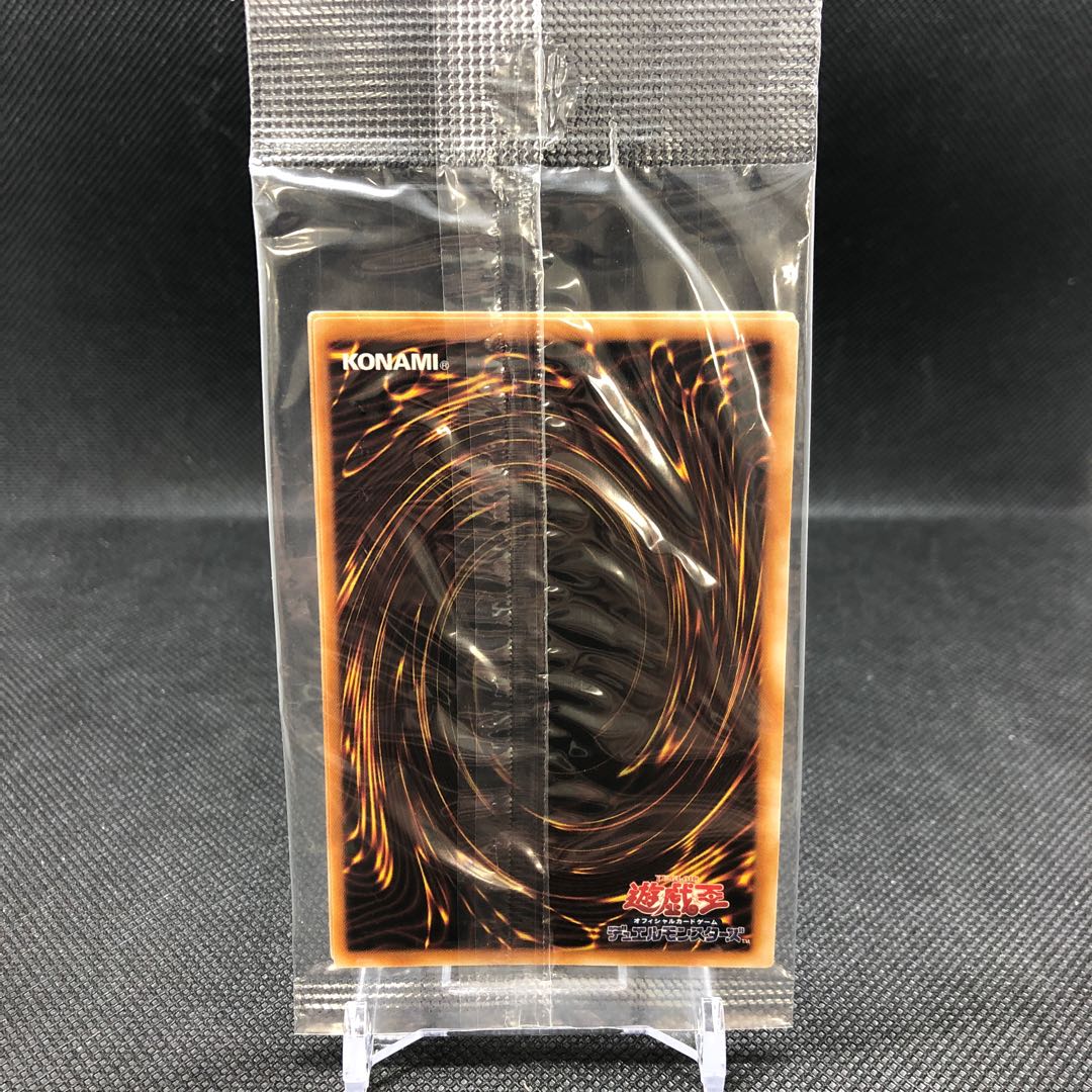 真紅眼の闇竜(レッドアイズ・ダークネスドラゴン) 管理B