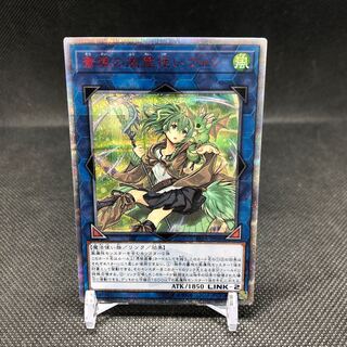 蒼翠の風霊使いウィン 管理D