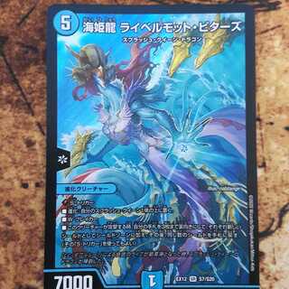 海姫龍 ライベルモット・ビターズ