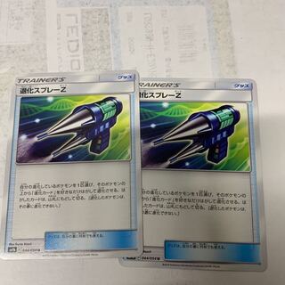 退化スプレーZ2枚セット