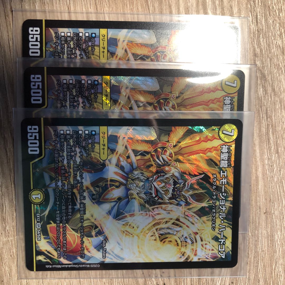 ［最安値！］神聖龍 エモーショナル・ハードコア SR